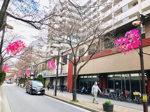 平井中村屋小松川店