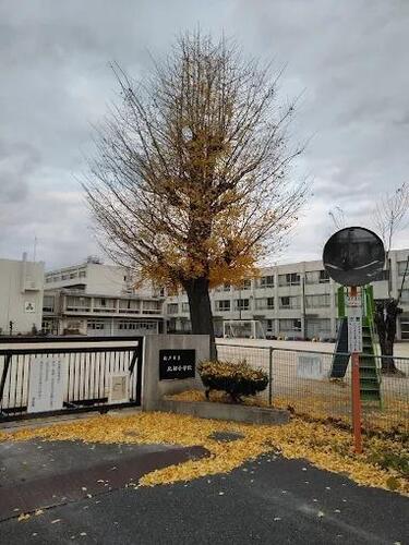 松戸市立北部小学校