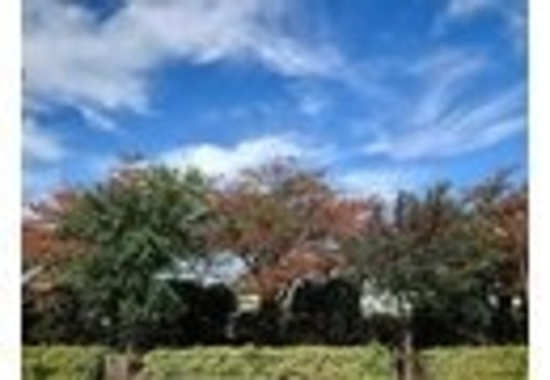 浦安市立美浜南小学校