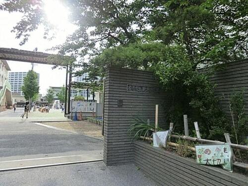 市川市立新井小学校