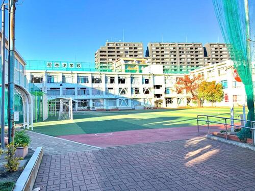 新宿区立柏木小学校まで409m ・よく考える子　・思いやりのある子　・体をきたえる子