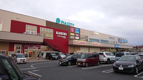 カスミフードスクエア柏中新宿店