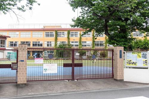 北区立田端小学校