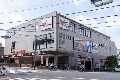 コモディイイダ徳丸西台店