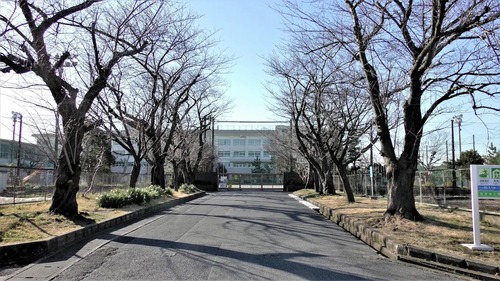 市川市立小百合台小学校