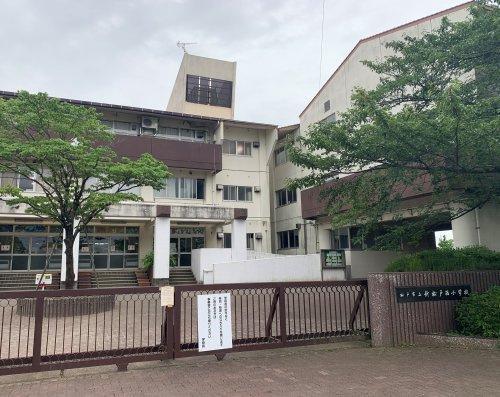 松戸市立新松戸西小学校