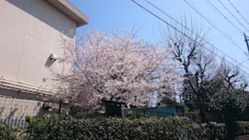 練馬区立開進第四小学校