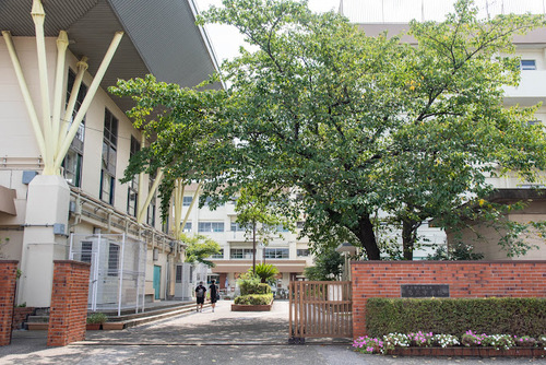 葛飾区立葛美中学校