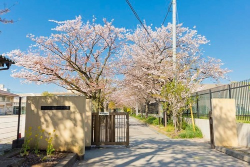 市川市立第一中学校