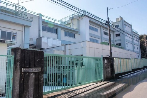 杉並区立大宮中学校