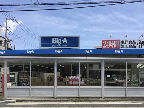 ビッグ・エー 市川新田店