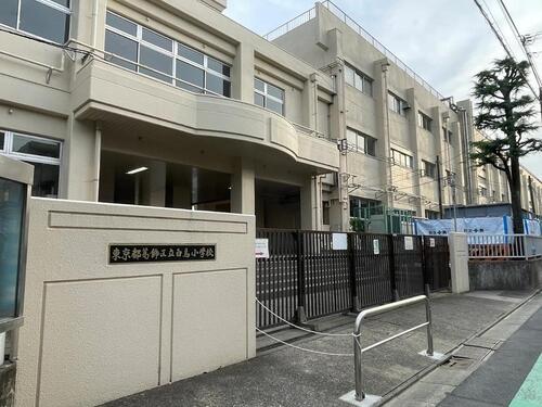 葛飾区立白鳥小学校