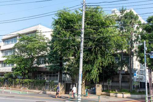 板橋区立板橋第一中学校