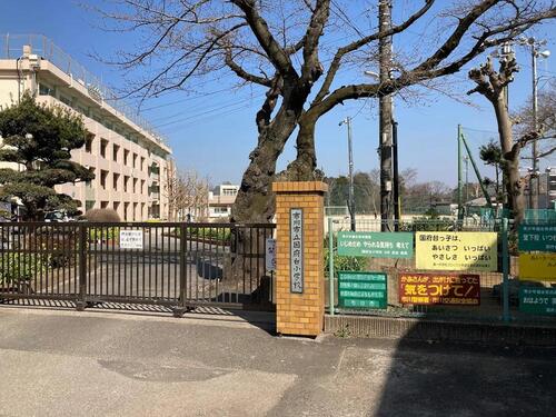 市川市立国府台小学校