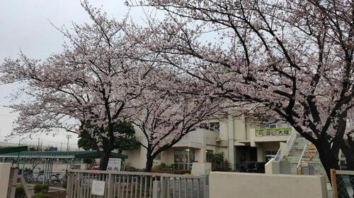 八潮市立大原中学校