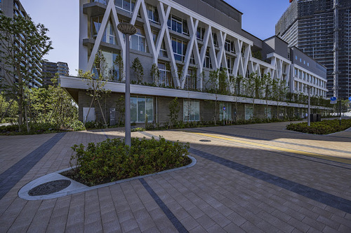 中央区立晴海西中学校