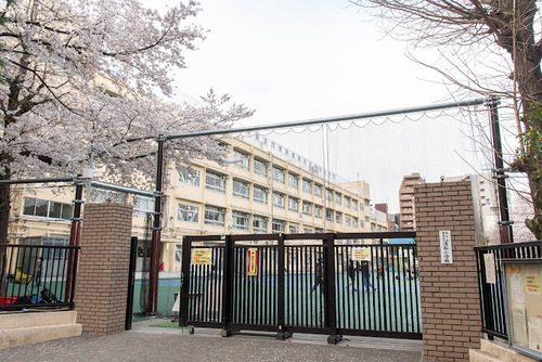 豊島区立清和小学校