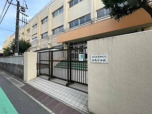 葛飾区立白鳥小学校