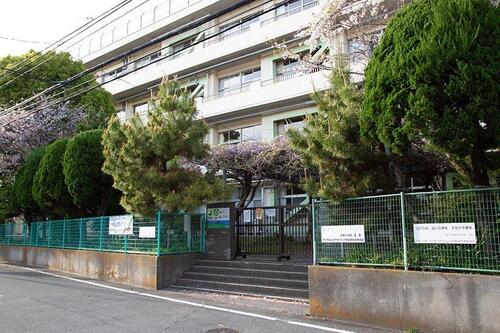 市川市立新井小学校