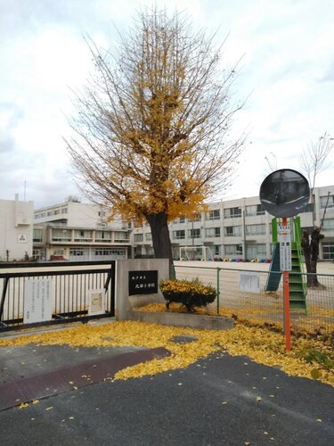 松戸市立北部小学校