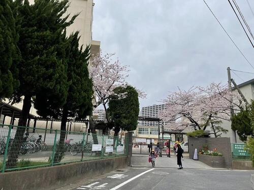 市川市立新井小学校