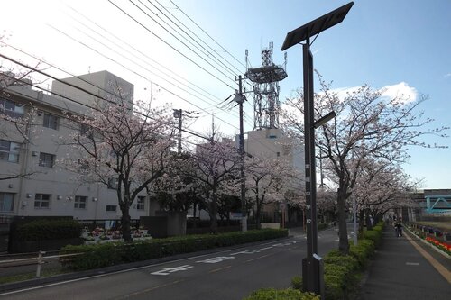 浦安市立富岡中学校