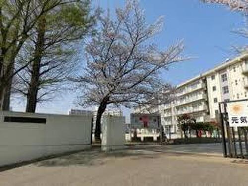 松戸市立横須賀小学校