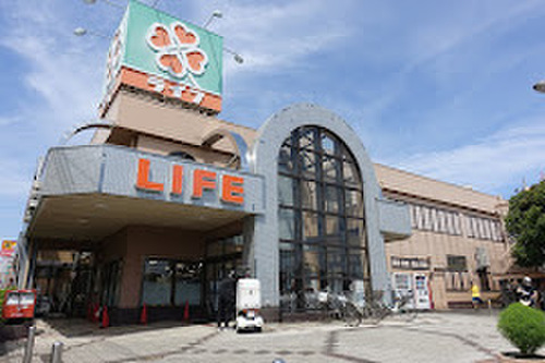 ライフ松戸二十世紀ヶ丘店