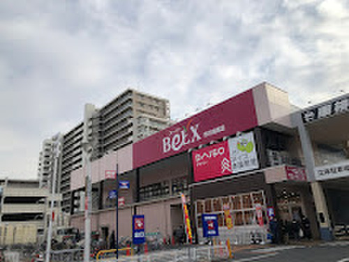 ベルクス市川鬼高店
