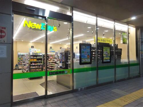 ニューデイズ駒込