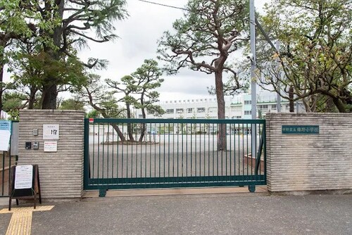 中野区立緑野小学校