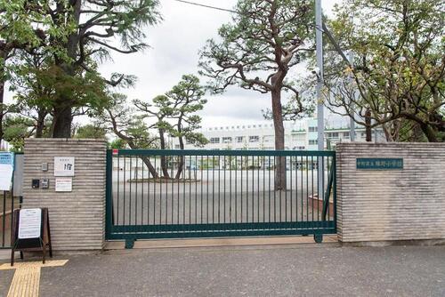 中野区立緑野中学校