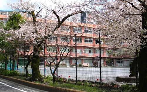 北区立滝野川もみじ小学校