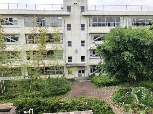 蕨市立第一中学校