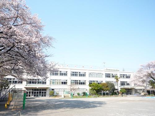 杉並区立八成小学校まで約588m