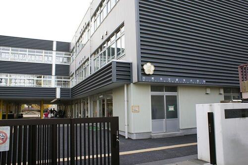 川崎市立御幸小学校まで約530m