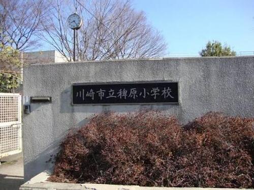 川崎市立稗原小学校まで約925m