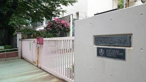 渋谷区立鳩森小学校まで約246m