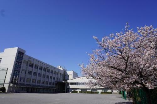 川崎市立殿町小学校まで約617m