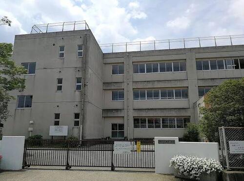 柏市立花野井小学校