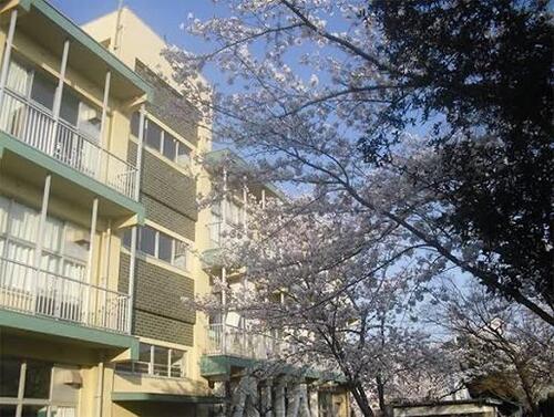 千葉市立幕張東小学校まで約362m