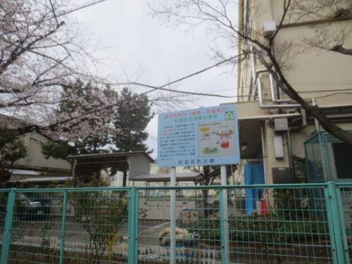 杉並区立済美小学校まで約839m