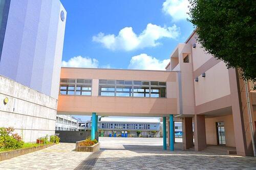 川崎市立高津小学校まで約852m
