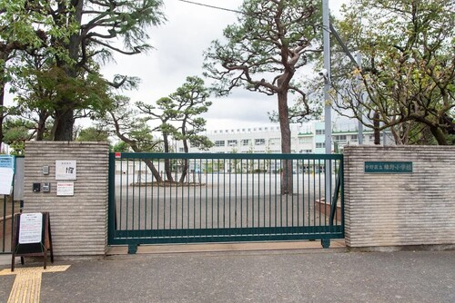 中野区立緑野小学校