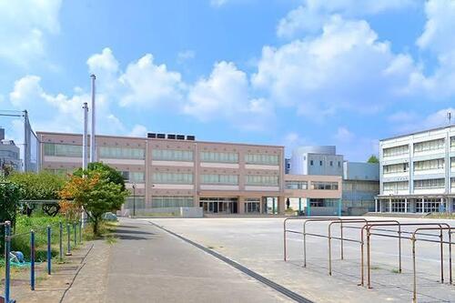 川崎市立高津小学校まで約1264m