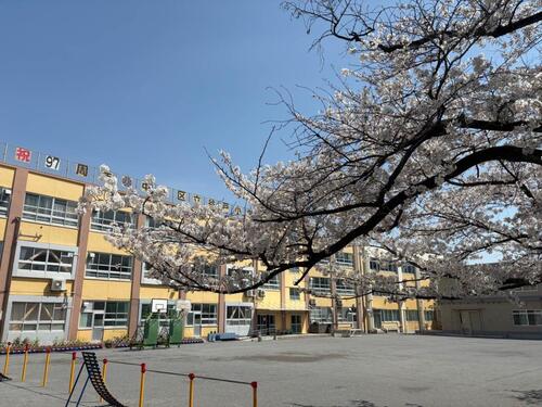 中野区立谷戸小学校まで約388m