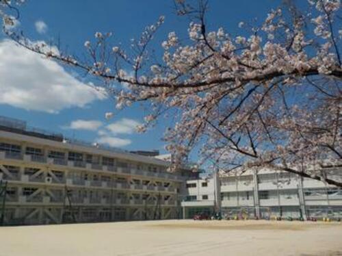 松戸市立相模台小学校