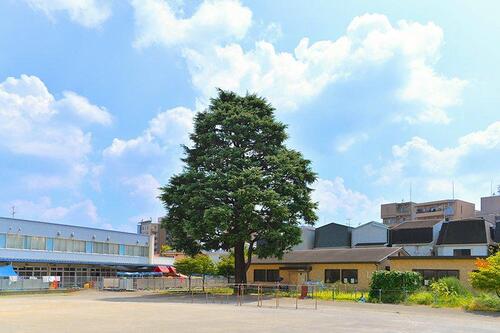 川崎市立高津小学校まで約596m