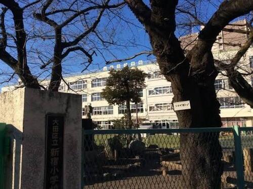 大田区立新宿小学校まで約300m