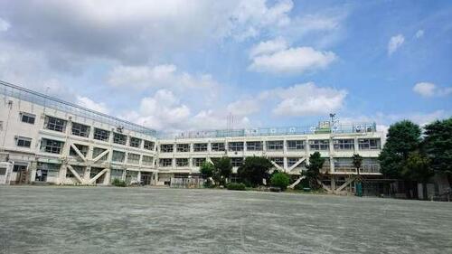 世田谷区立等々力小学校まで約967m